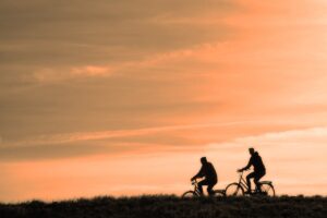 Nutrition and Exercise Tracking